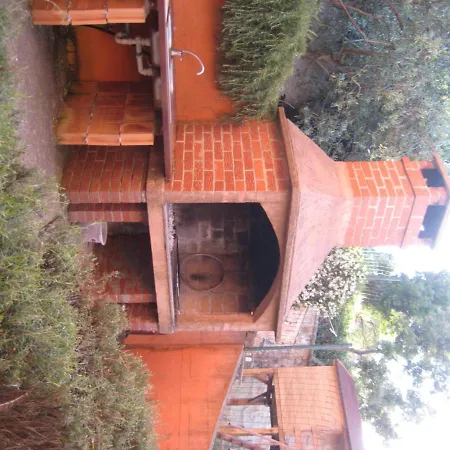 Lavanda Kali