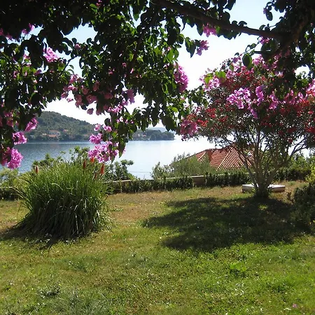 Lavanda Apartment Kali