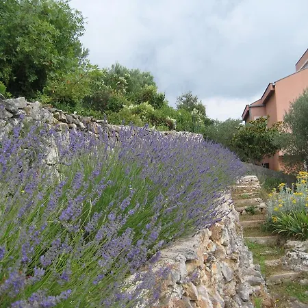 Apartament Lavanda *